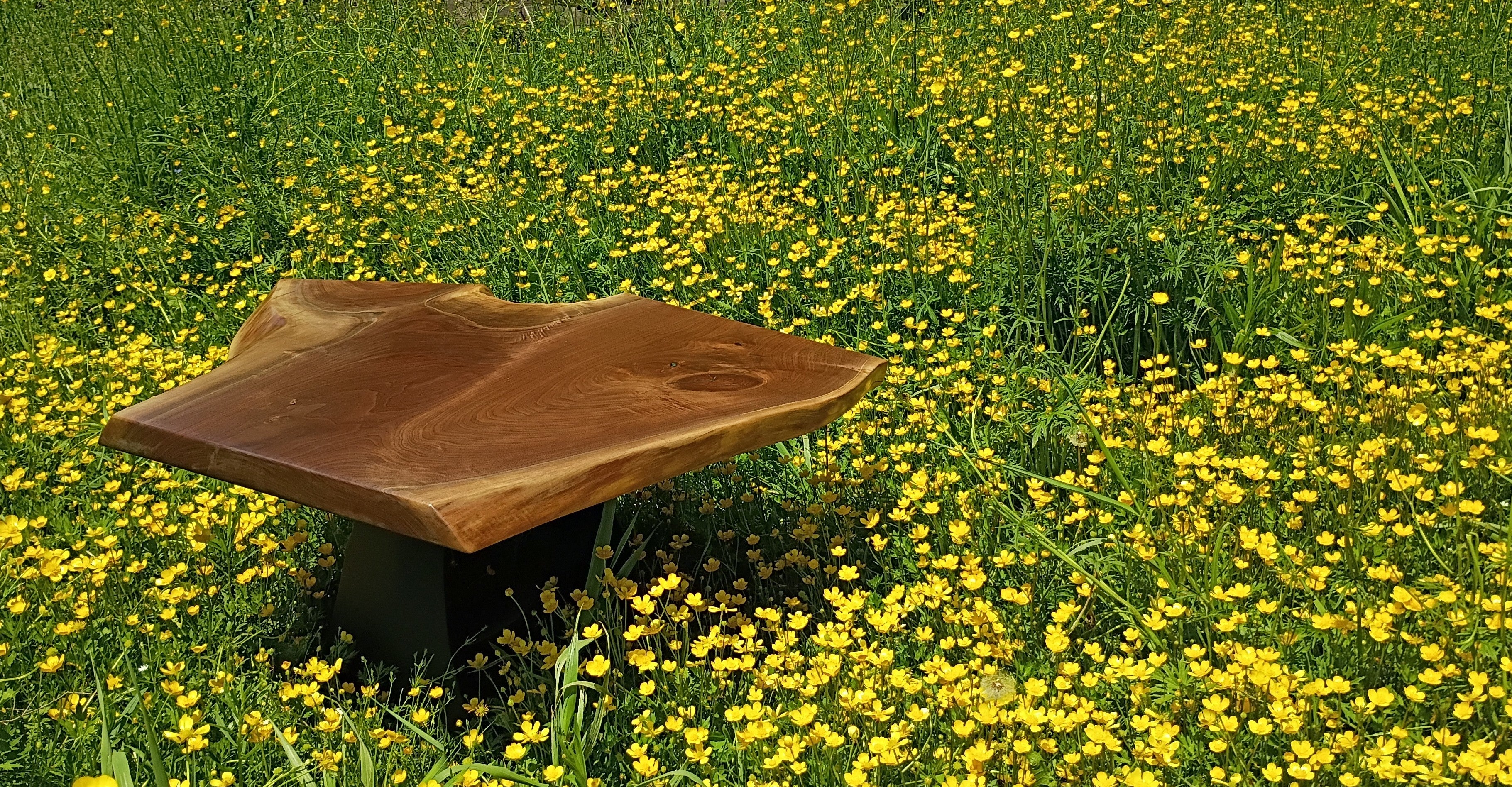 Walnut live edge table, accent table, coffee table one-of-a-kind, artisan crafted, Utica N.Y., 